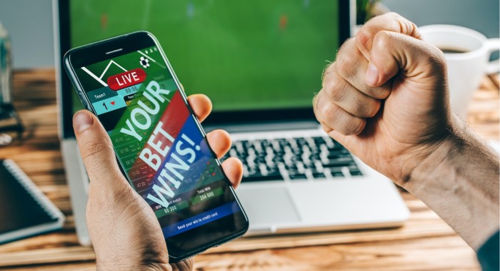 Top rated betting sites with diverse games