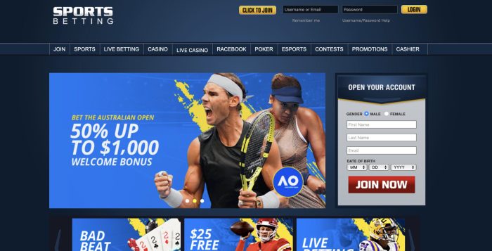 Online betting sites featuring full game range